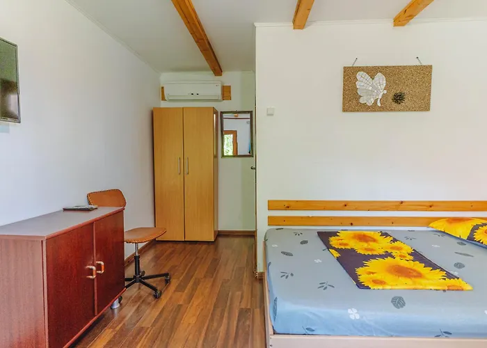 Casa Dexter